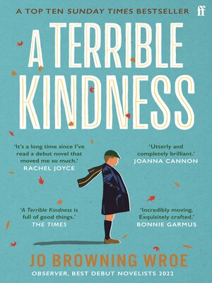 cover image of A Terrible Kindness